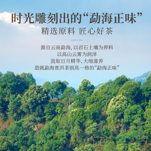 华祥苑普洱五星班章 百年藏仓普洱茶熟茶 云南勐海熟普班章 商品图5