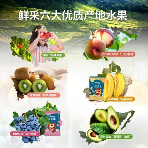 禾泱泱水果原粒宝宝零食无添加白砂糖儿童果果莓莓营养水果原粒系列 商品图4