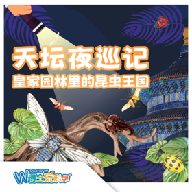 【北京】天坛夜巡记--皇家园林里的昆虫王国