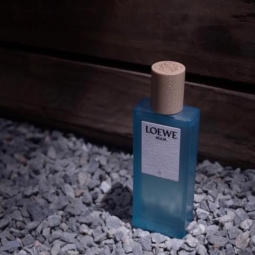 LOEWE罗意威之水AGUA EL淡香水100ml 商品图0