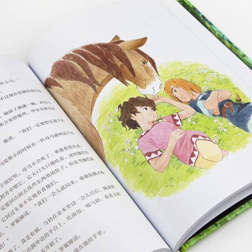 绿林女儿罗妮娅-林格伦经典作品-独家珍藏版 商品图3