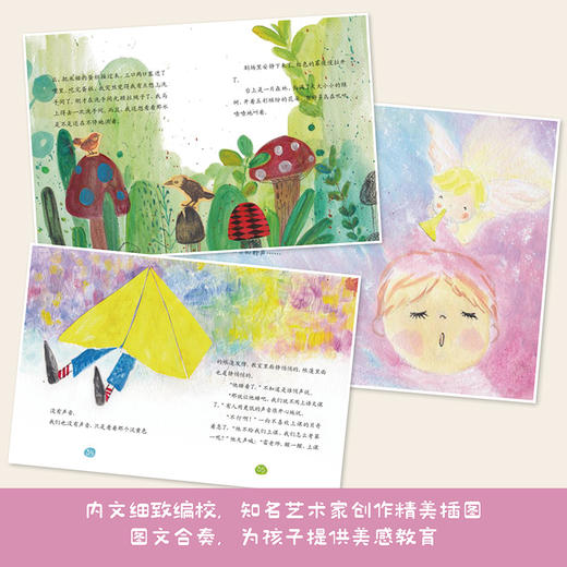 海龟老师 盒装（13册） 商品图2