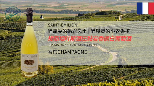 法国-提斯坦叶斯酒庄黏岩香槟白葡萄酒 商品图0