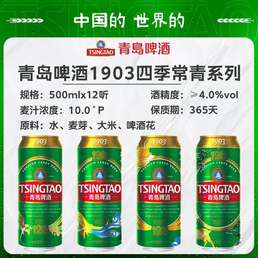青岛啤酒经典1903 500ml*12听 120周年四季常青系列 商品图1
