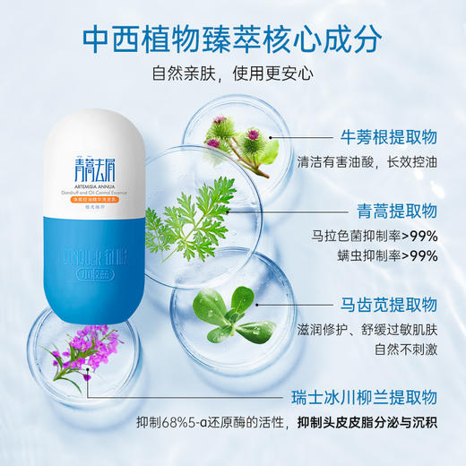 征服头皮精华素小胶蓝青蒿去屑控油舒缓止痒修护头皮护理洗发水 商品图4