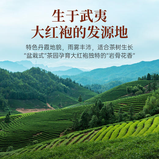 【送试泡】华祥苑-250g大红袍大红罐升级版 商品图3