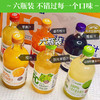 ³ 44.9元/6瓶【NFC&100%果汁两种】 青提/苹果/葡萄/橙汁/青柠/番石榴/金珠沙梨/蜜桃 非浓缩复原果汁XN03-CRMM-XDWS 商品缩略图2