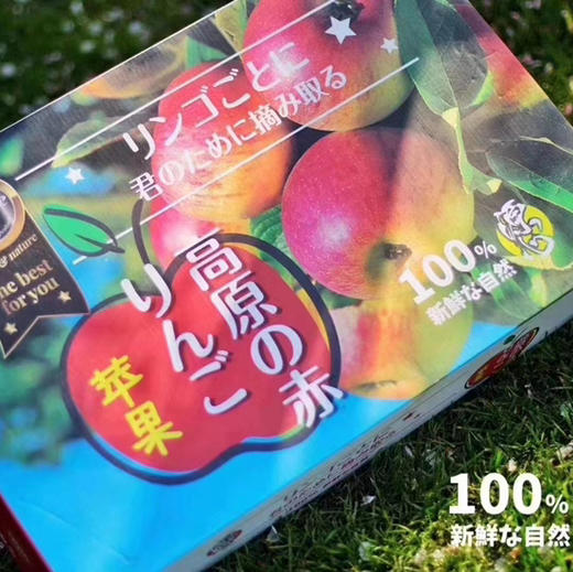 【富士礼盒】红富士苹果，果型好看，颜值高，脆甜口的高阶红富士，自吃送礼好看好吃！ 商品图2