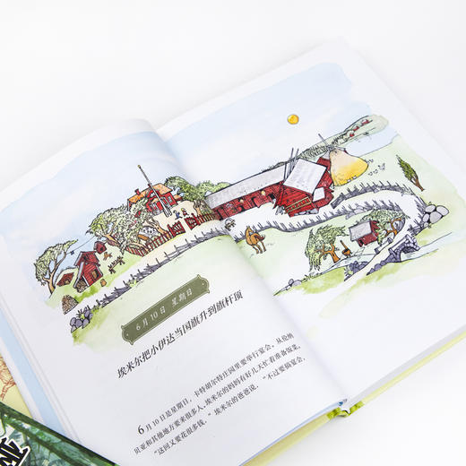 淘气包埃米尔-林格伦经典作品-独家全彩珍藏版 和长袜子皮皮齐名的举世闻名的淘气包 童话大师林格伦塑造的经典儿童形象 1963年首次出版，至今深受读者喜爱 被翻译成40多种语言，畅销全球 商品图3