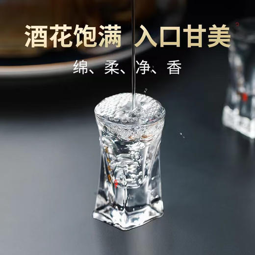 西凤酒 华山论剑20年陈酿 凤香型白酒52度 500ml/1瓶/2瓶 商品图3