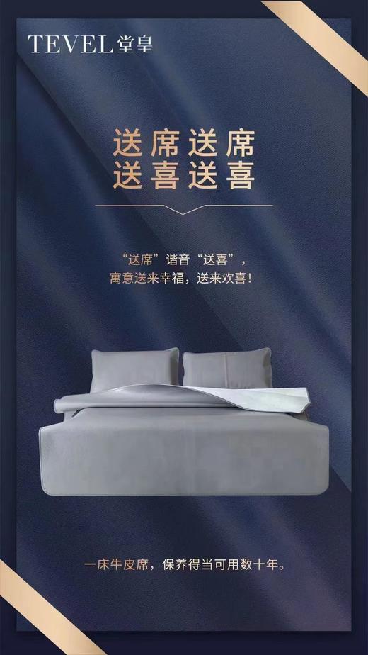 6F【堂皇】 长乐未央牛皮席三件套 商品图1