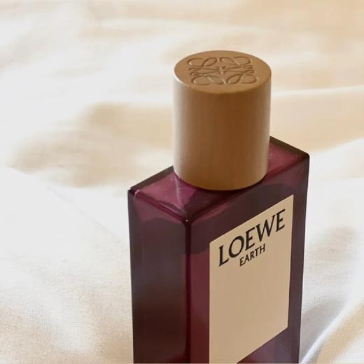 LOEWE罗意威EARTH 自然之水浓香100ml 商品图0