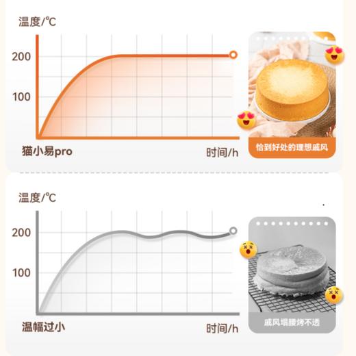 长帝 TC42Y猫小易Pro 42L电烤箱 商品图5