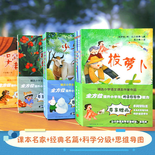 小学语文同步阅读书籍全套一二三年级四五六年级上册必读课外书老师推荐1-6慈母情深梁晓声 一只窝囊的大老虎走月亮少年英雄王二小 商品图2