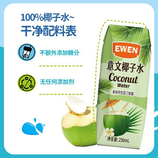 苏门答腊进口意文NFC100%纯椰子水250ml*24盒 商品图4