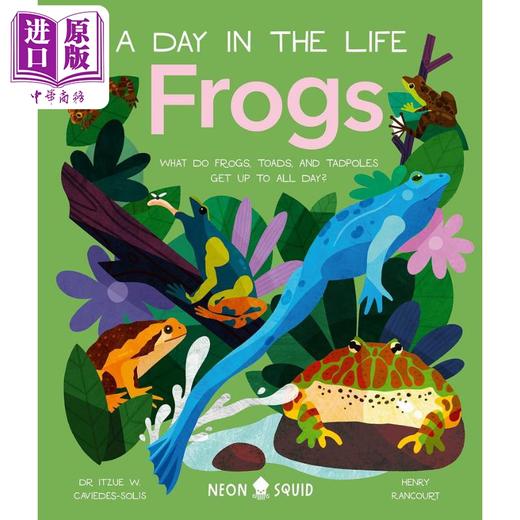 【中商原版】A Day in the Life:Frogs 一天的小生活：青蛙 英文原版 进口图书 儿童科普绘本 动物图画书 精装童书 知识百科 商品图0