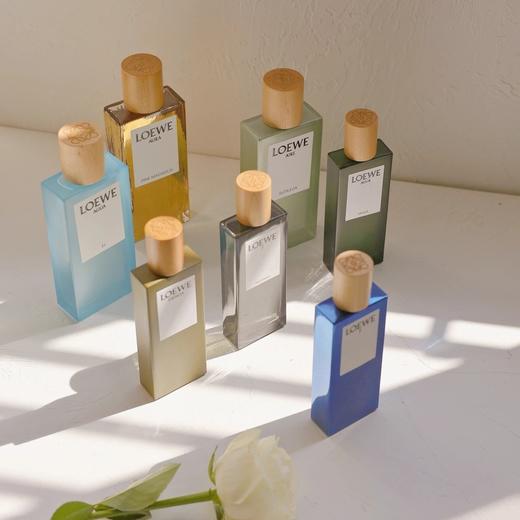 LOEWE罗意威之水AGUA EL淡香水100ml 商品图1