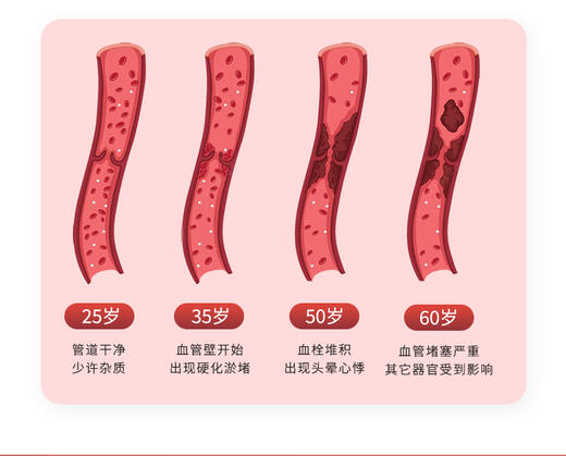 纳豆博士纳豆激酶90粒/盒 商品图1