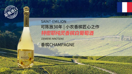法国-特密耶纯灵香槟白葡萄酒 商品图0