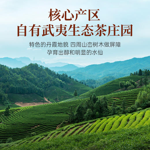 【送试泡】华祥苑-250g水仙大红罐升级版 商品图3