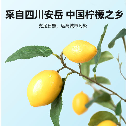 【冬季滋补】【杞里香冻干柠檬片48g 】冻干工艺精选 营养保留充分  可搭配蜂蜜、百香果、玫瑰等 商品图2