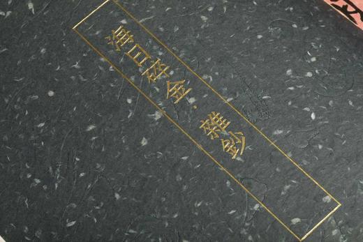 《沈曾植遗墨集》，戴家妙 主编，889mm×1194mm ，8开，880页，西泠印社出版社2023年6月一版一印。
  商品图9