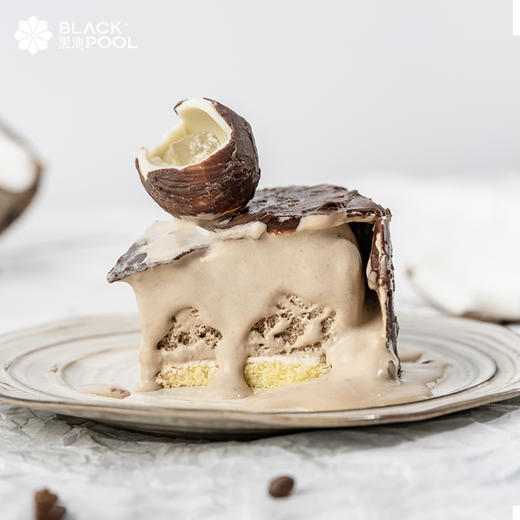 （景程兑换）冰淇淋2选1，【生椰拿铁原味白巧冰淇淋蛋糕】/【生椰拿铁脆皮黑巧冰淇淋蛋糕】 商品图3