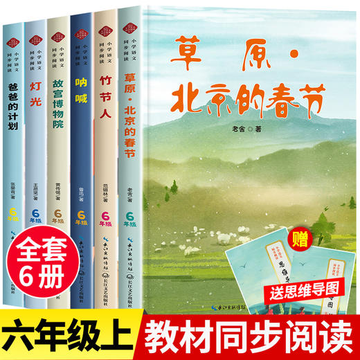 小学语文同步阅读书籍全套一二三年级四五六年级上册必读课外书老师推荐1-6慈母情深梁晓声 一只窝囊的大老虎走月亮少年英雄王二小 商品图10