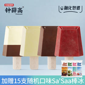 【限时团】买10赠15 | 钟薛高雪糕C2系列（丝绒可可*3半半巧巧*3提子牛乳*2杨梅冰*2）（加赠随机口味sasaa15支）[福利品]