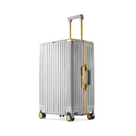 城市胶囊- 精致窄边铝框系列行李箱-989K-银