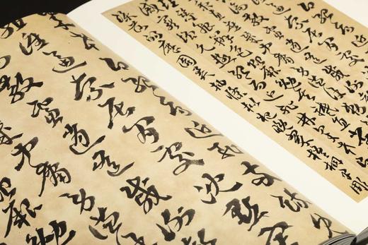 《沈曾植遗墨集》，戴家妙 主编，889mm×1194mm ，8开，880页，西泠印社出版社2023年6月一版一印。
  商品图10