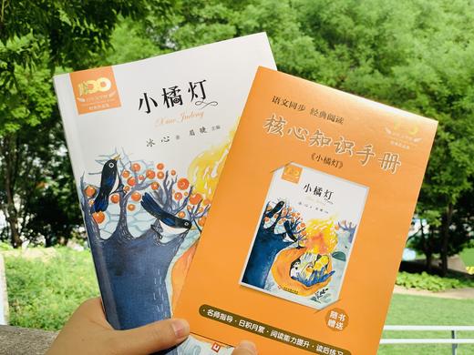 《百年文学梦》（套装16册）| 十位儿童文学大师，百年经典之作，给孩子影响一生的童年滋养 商品图3