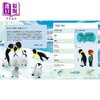 【中商原版】Young Zoologist：Emperor Penguin 小动物家：帝王企鹅 英文原版进口 儿童百科绘本 动物科普知识图书 精装知识绘本 商品缩略图4