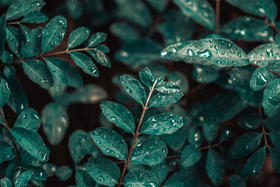 为何中医讲起祛湿就会提到健脾?