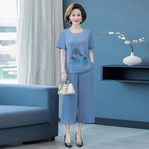 洋气薄款短袖上衣，中老年衬衫女气质套装TYWF-A333CCQ2208 商品图8
