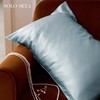Solo seta22姆米双面真丝枕套玻尿酸桑蚕丝亲肤丝绸信封枕秋冬新 商品缩略图1