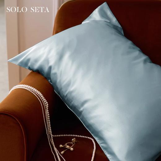 Solo seta22姆米双面真丝枕套玻尿酸桑蚕丝亲肤丝绸信封枕秋冬新 商品图1