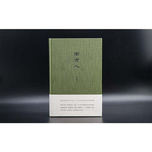 南京人 叶兆言 著 文学 商品图0