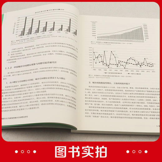 制度与行为视角的城市空间增长研究 商品图3