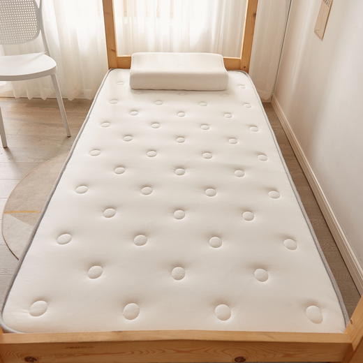 床垫软垫家用折叠乳胶垫被宿舍学生褥子单人海绵床褥租房专用硬垫 商品图2