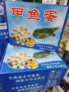 甲鱼蛋一箱