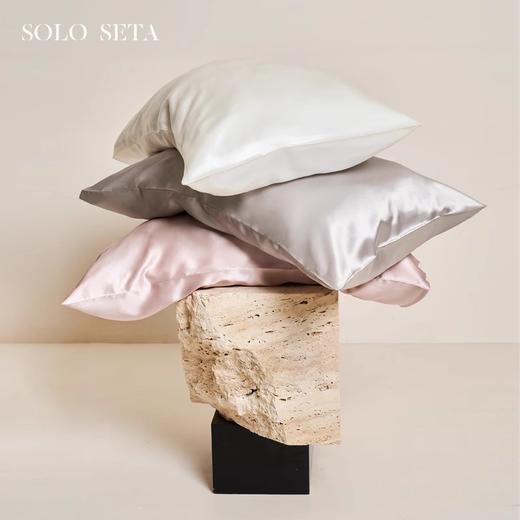 Solo seta22姆米双面真丝枕套玻尿酸桑蚕丝亲肤丝绸信封枕秋冬新 商品图0