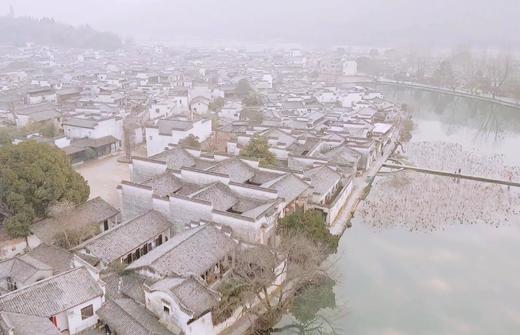 安徽皖南春色：黄山屯溪、昌溪、坡山、石潭、木梨硔、南屏、呈村、卢村、新安江油菜花6天 商品图5