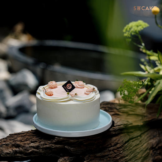 【绯色风华】杨枝甘露风味 商品图4