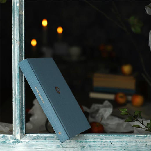 到灯塔去（伍尔夫文集）【上海译文】 商品图3