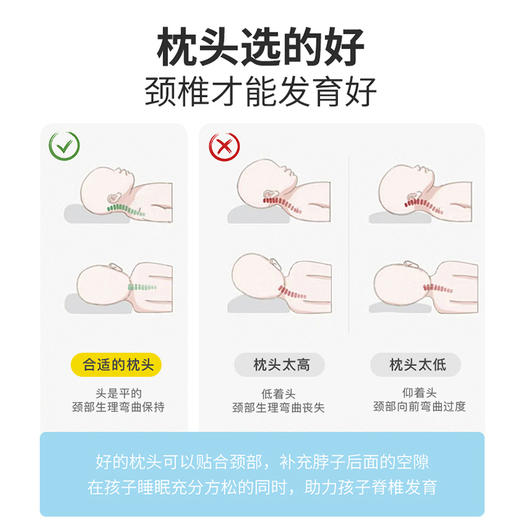A类全棉儿童枕头低枕芯幼儿园小孩小学生专用宿舍午睡小号3岁以上 商品图3