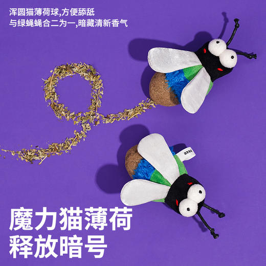zeze绿蝇蝇猫薄荷玩具-B （包邮） 商品图4