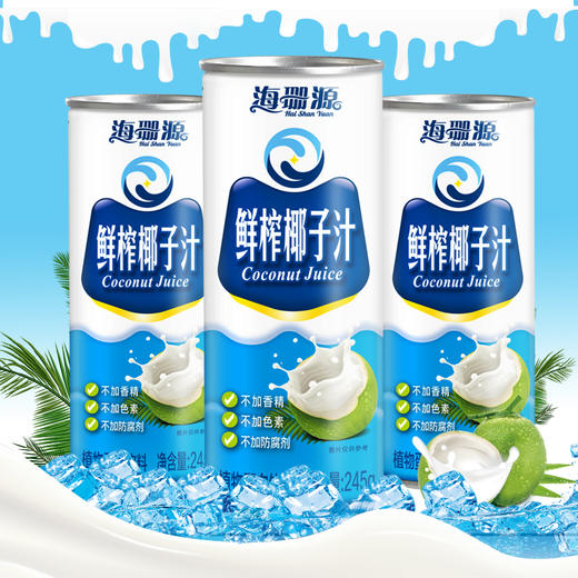 海珊源鲜榨椰子汁245g*10礼盒装 商品图3