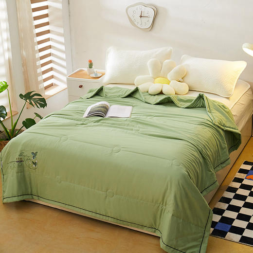 【独享一人时光❗️拥有柔滑质感 薄荷驱蚊功能被】亲肤细腻温和凉感，吸湿透气自带薄荷味，新款夏季凉被单双人空调被可水洗棉被薄款纯色薄被子粉丝专属 商品图0