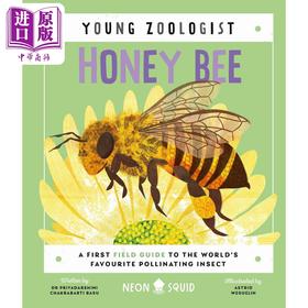 【中商原版】Young Zoologist：Honey Bee 小动物家：蜜蜂 英文原版进口 儿童百科绘本 动物科普知识图书 精装知识绘本童书